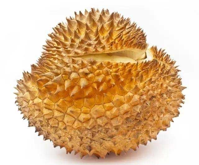 ̰!쳣ЩˮСĳԻ